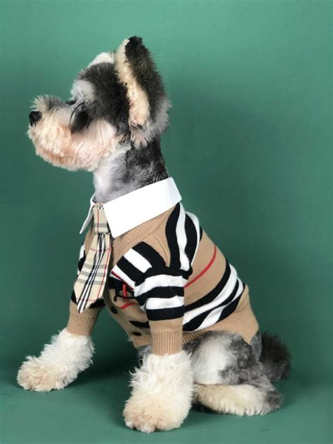 Amazon.com: Burberry Sweater For Dog